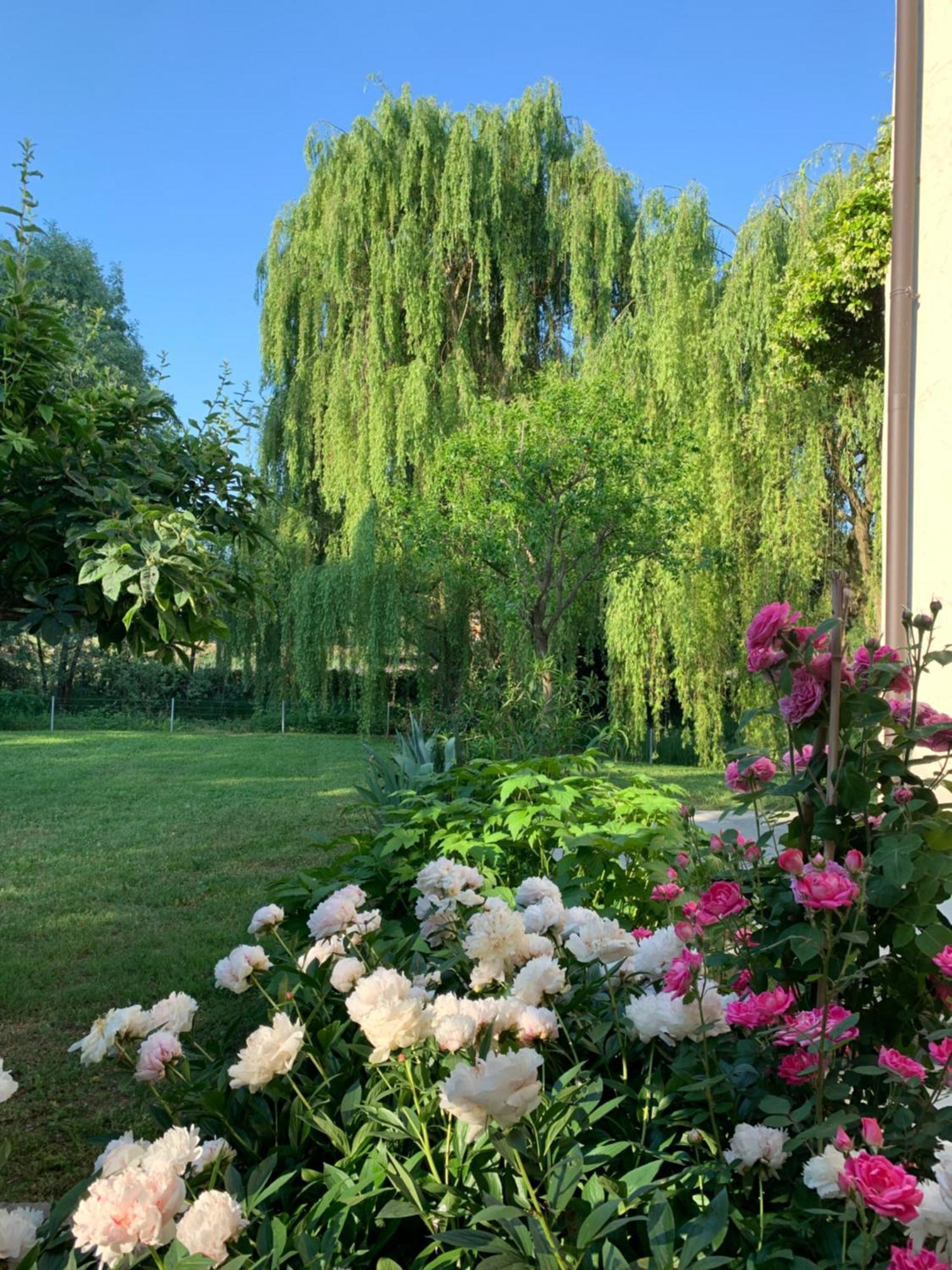 L'Isolo B&B E Case Vacanza Монцамбано Екстер'єр фото