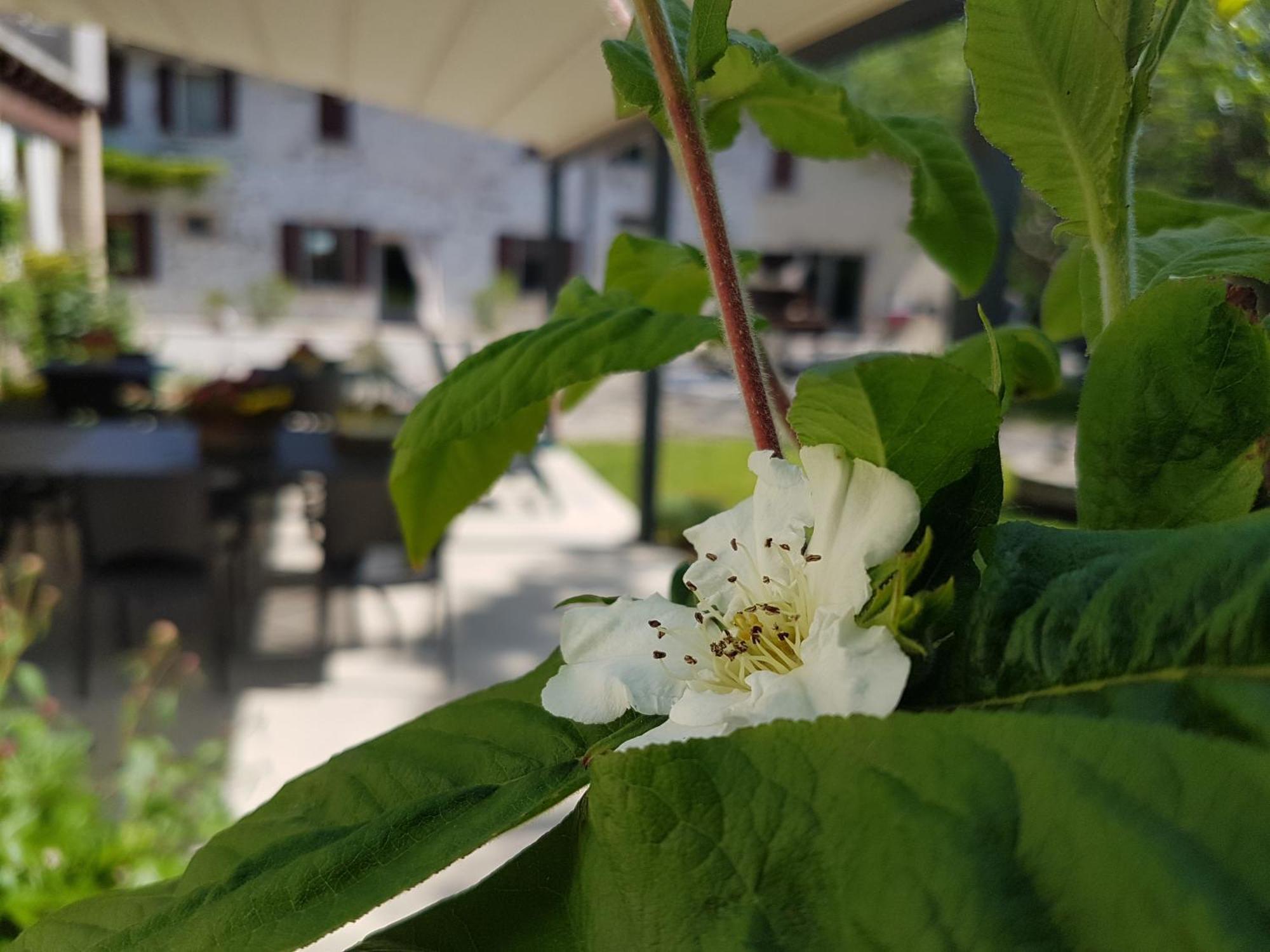 L'Isolo B&B E Case Vacanza Монцамбано Екстер'єр фото
